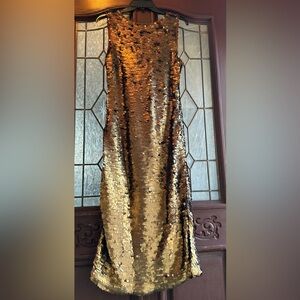 NWT Donna Karan Women's Sequin Detail Dress. 10. Vicuña. Retail $249